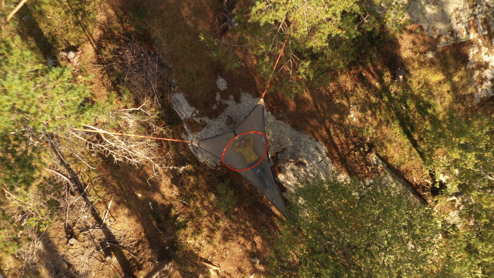 Airy tree tent accommodation
