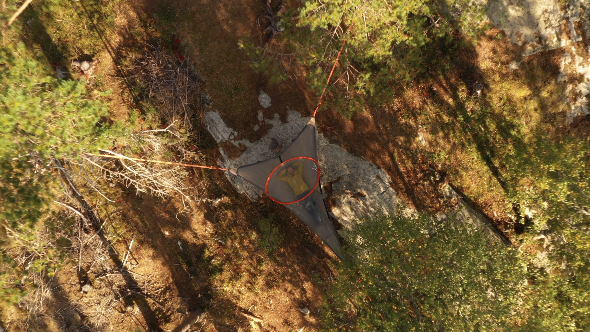 Airy tree tent accommodation