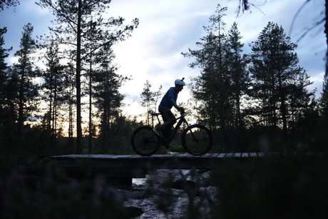 Sykling med guide